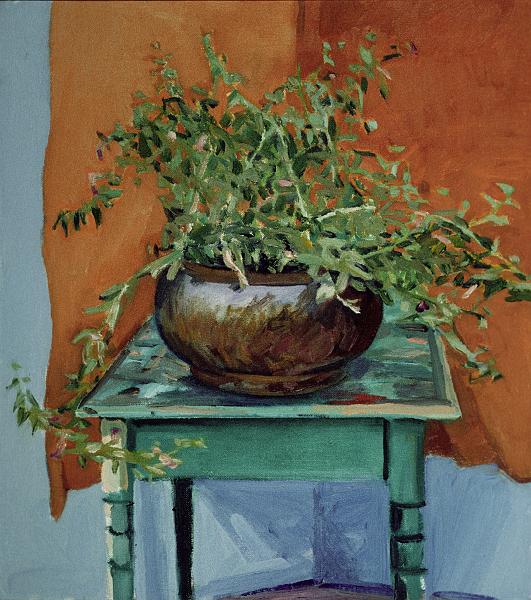 Petunia  1980 18x16.jpg